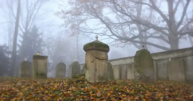 Ile hektarów ma cmentarz w Szczecinie? Zaskakujące fakty o nekropolii