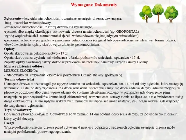 Jak uzasadnić wniosek o wycięcie drzewa, aby uniknąć problemów?