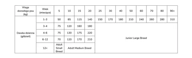 Ile razy dziennie karmić szczeniaka? Kompletny przewodnik