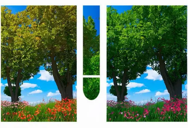 Jak daltonista widzi zieleń? Wyjaśniamy i pokazujemy