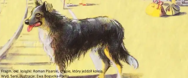 Autor książki o psie który jeździł koleją - Roman Pisarski i jego historia