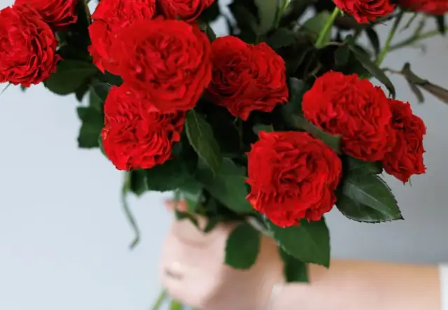 Ile kwiatów na cmentarz? Odkryj znaczenie liczby kwiatów i tradycji