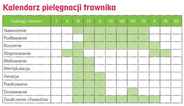 Kiedy nawozić trawnik? Kalendarz i błędy, by mieć zieleń jak z bajki!