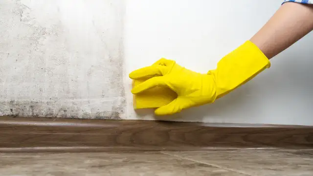 Czyste ściany bez smug: Jak skutecznie umyć je z kurzu?