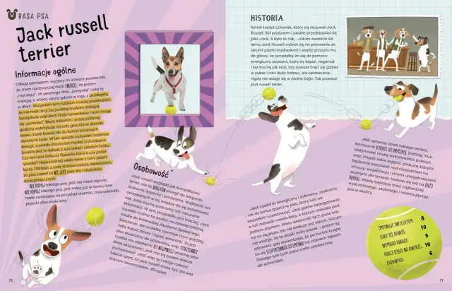 Pies Stella: Czy Twój pupil też może mówić guzikami? Odkryj metodę