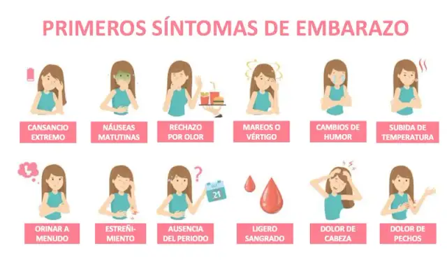Síntomas de embarazo: 10 señales que podrían sorprenderte