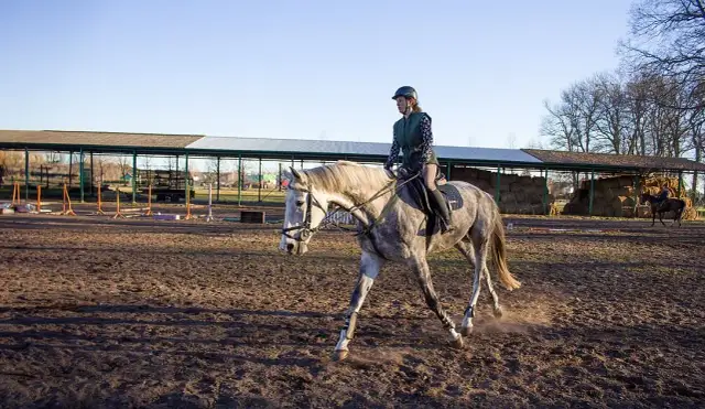 Ile kosztuje odznaka jeżdżę konno? Poznaj ukryte wydatki i ceny