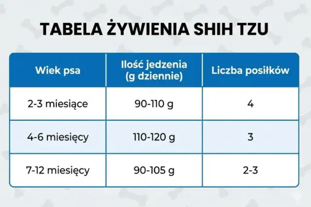 Tabela żywienia szczeniaka Shih Tzu: wiek, ilość jedzenia (g dziennie) i liczba posiłków.