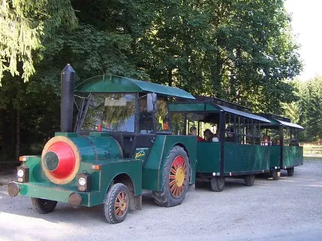 Ceny ciuchci w Dolinie Chochołowskiej: ile kosztuje przejazd?