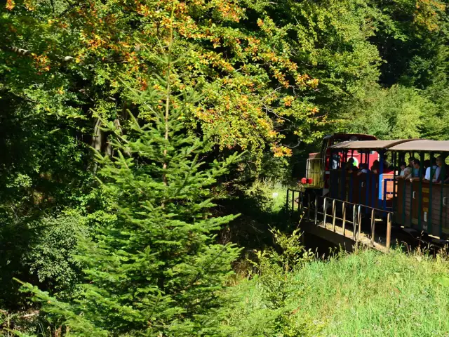 Bieszczady: Majdan Kolejka Leśna, szlaki i atrakcje. Co odkryjesz?