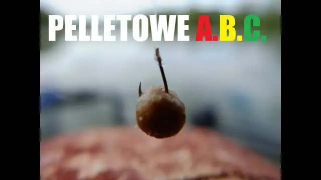 Jak założyć pellet na haczyk? Opanuj techniki i łów więcej!