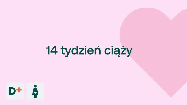 13 tydzień ciąży: 4. miesiąc, II trymestr. Co teraz czeka Ciebie i dziecko?