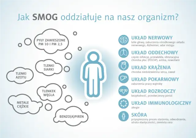 Z czego składa się smog i jak wpływa na nasze zdrowie?