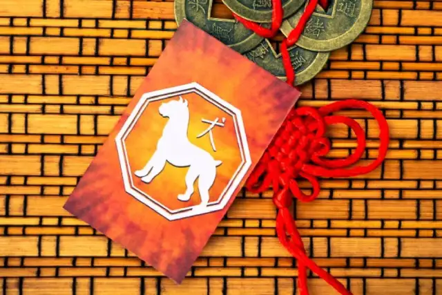 Chiński horoskop pies: poznaj prawdziwe znaczenie swojego znaku zodiaku
