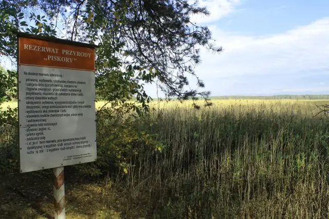 Tablica informacyjna w rezerwacie przyrody Piskory. Za nią rozciąga się rozległe, trawiaste pole pod błękitnym niebem.