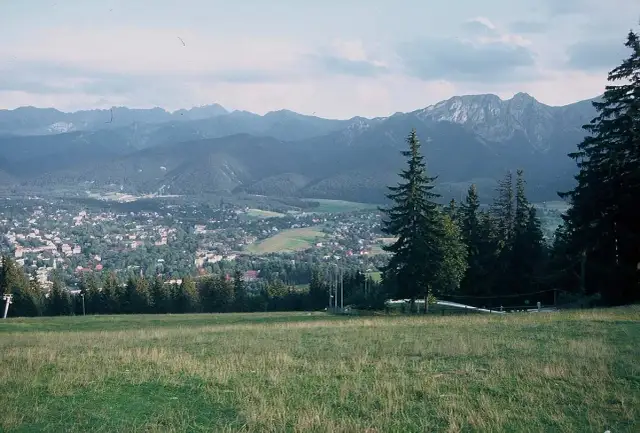 Widok na Tatry z górskiej łąki, z miastem w dolinie i lasem po prawej.