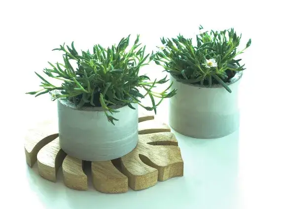 Jak zrobić doniczki z gipsu - proste sposoby na kreatywne ozdoby