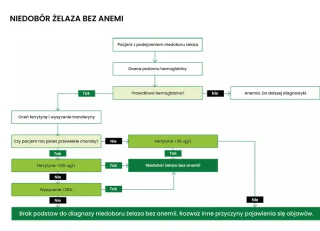 Ferrytyna: Co to za badanie? Normy, objawy i interpretacja wyników