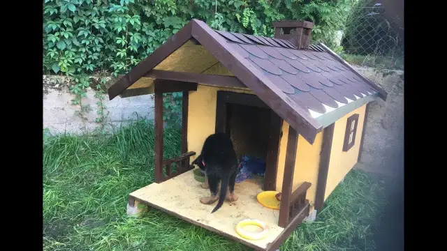 Jak zrobić budę dla psa z płyty OSB - proste kroki i ważne wskazówki