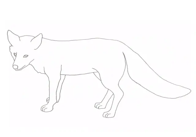 Darmowe kolorowanki lis do druku – pobierz i koloruj z radością