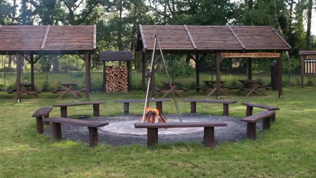 Gdzie kupić drewno na ognisko? Najlepsze miejsca i porady, których nie znasz