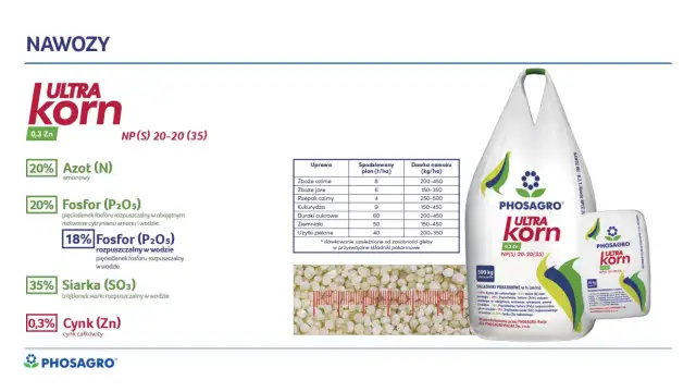 Jaki nawóz pod kukurydzę i ile naprawdę potrzebujesz dla wysokich plonów