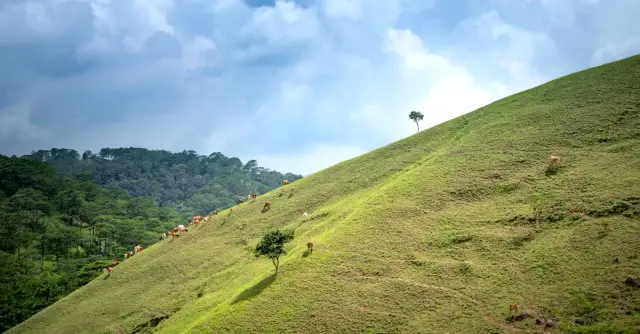 Najciekawsze szczyty gór w Afryce do zdobycia i zwiedzania