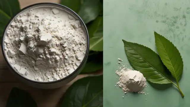 Kolagen roślinny: Czy jest równie skuteczny jak zwierzęcy?