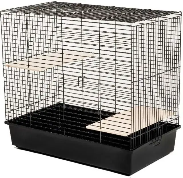Najlepsza klatka dla szynszyla: wymiary, wyposażenie i porady