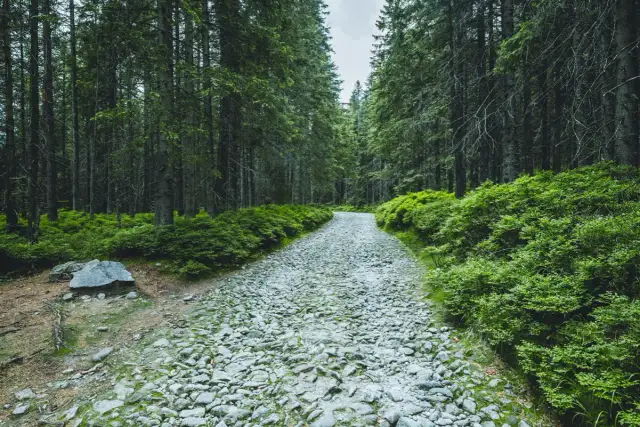 Szlak z Brzezin do Murowańca: Malownicza Trasa w Tatrach