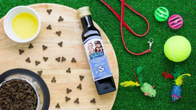Jaki olej dla psa: wybierz najlepsze oleje dla zdrowia swojego pupila