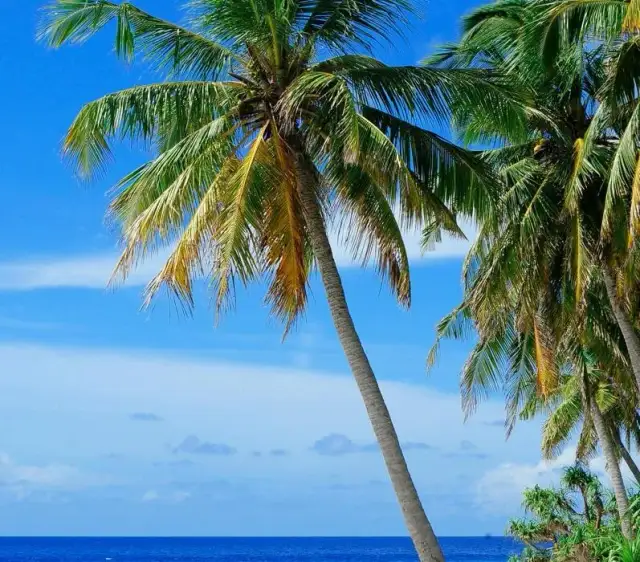 Gdzie polecieć w czerwcu egzotyka? Odkryj najlepsze destynacje