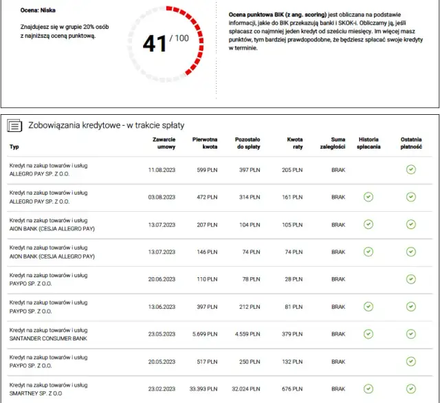 BIK: Jak długo widoczne są Twoje dane? Kiedy znikają negatywne wpisy?