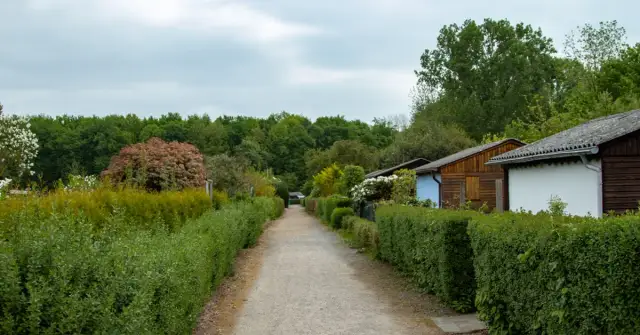 Ile kosztuje działka ROD? Ceny, które zaskoczą każdego kupującego