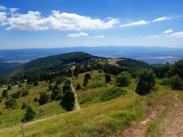 Malownicze góry w Bułgarii, zielone wzgórza i kręta droga prowadząca w dół. Błękitne niebo z białymi chmurami.