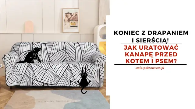 Jak zabezpieczyć kanapę przed psem i uniknąć zniszczeń