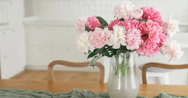 Kiedy jest sezon na peonie? Sprawdź, kiedy najlepiej je kupić