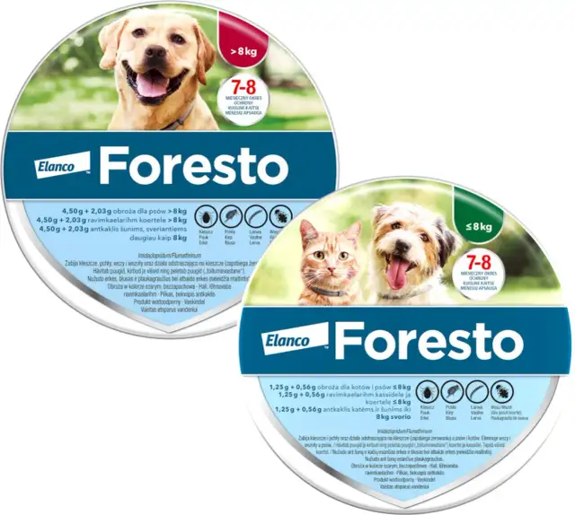 Obroża na kleszcze dla szczeniaka: Bezpieczny wiek i skuteczne metody