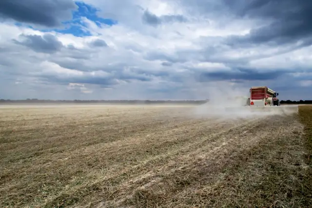Wapnowanie gleby: Kiedy, jak i dlaczego? Uniknij błędów!