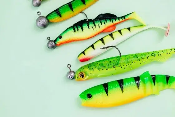 Jak skutecznie używać przynęty kogut do połowu drapieżników