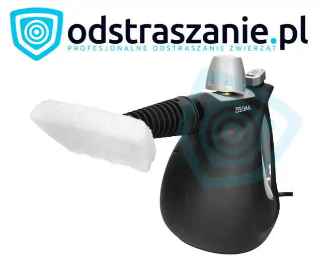 Parownica na pluskwy: Jak wybrać i skutecznie pozbyć się insektów?