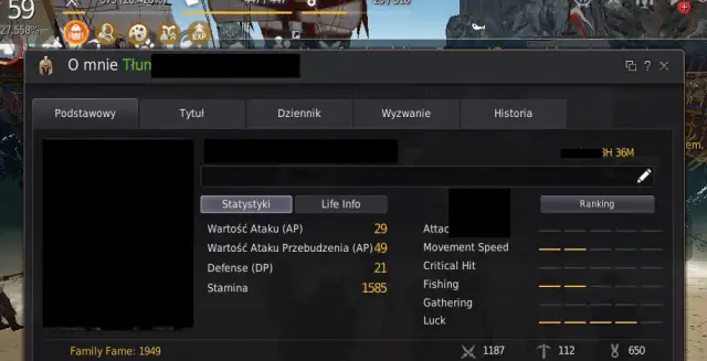 Jak zainstalować spolszczenie Black Desert Online - kompletny poradnik 2025