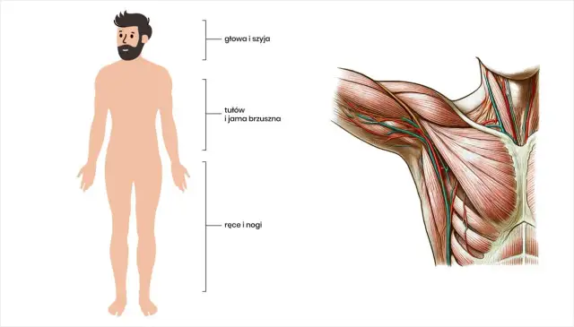 Jaki lekarz od tkanek miękkich? Dowiedz się, kto pomoże w problemach zdrowotnych