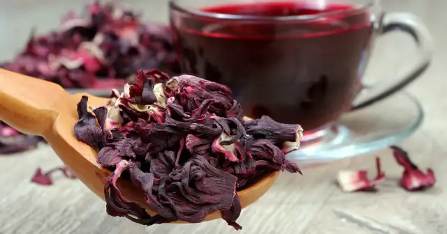 Suszone płatki hibiskusa na drewnianej łyżce i kubek z naparem. Hibiskus co to? To piękny, czerwony napój.