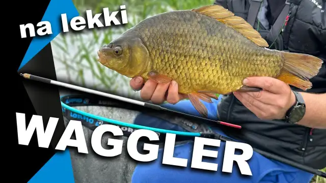 Najlepsza przynęta na karasia? Moje sprawdzone triki i przepisy!