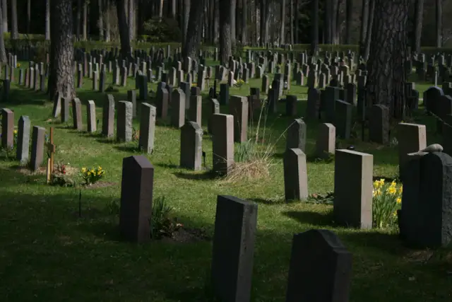 Ile kosztuje miejsce na cmentarzu na Wólce Węglowej? Ceny i opłaty