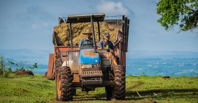  Siewnik do kukurydzy Gaspardo - najlepszy na rynku?
