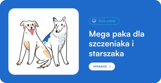 Szczeniak na dworze? Sprawdź, kiedy jest gotowy i jak go przygotować!