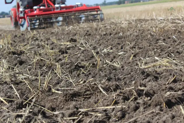 Ile azotu na słomę: optymalna dawka dla zdrowej gleby