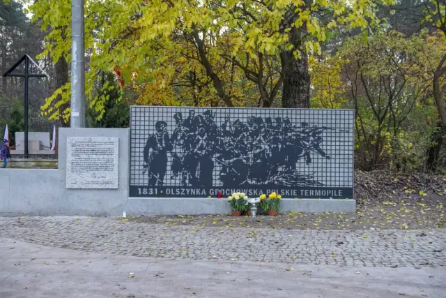 Rezerwat przyrody Olszynka Grochowska - historia, natura i atrakcje